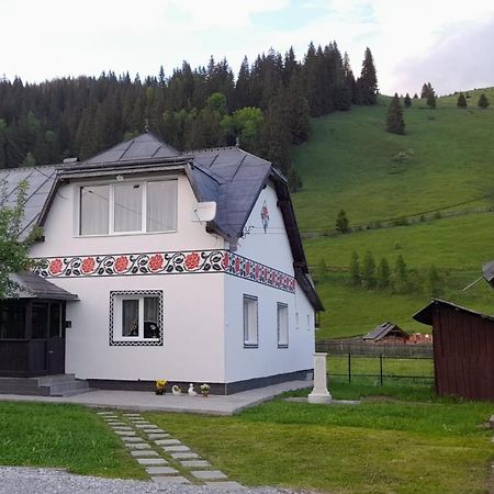 Casa Dumitru Si Elena Ciocanesti Bucovina Exterior foto