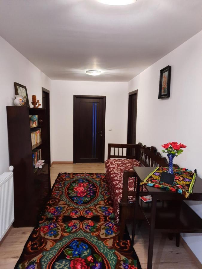 Casa Dumitru Si Elena Ciocanesti Bucovina Exterior foto