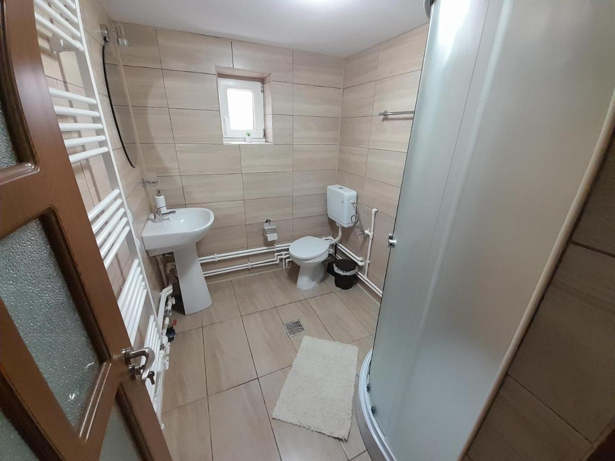 Casa Dumitru Si Elena Ciocanesti Bucovina Exterior foto