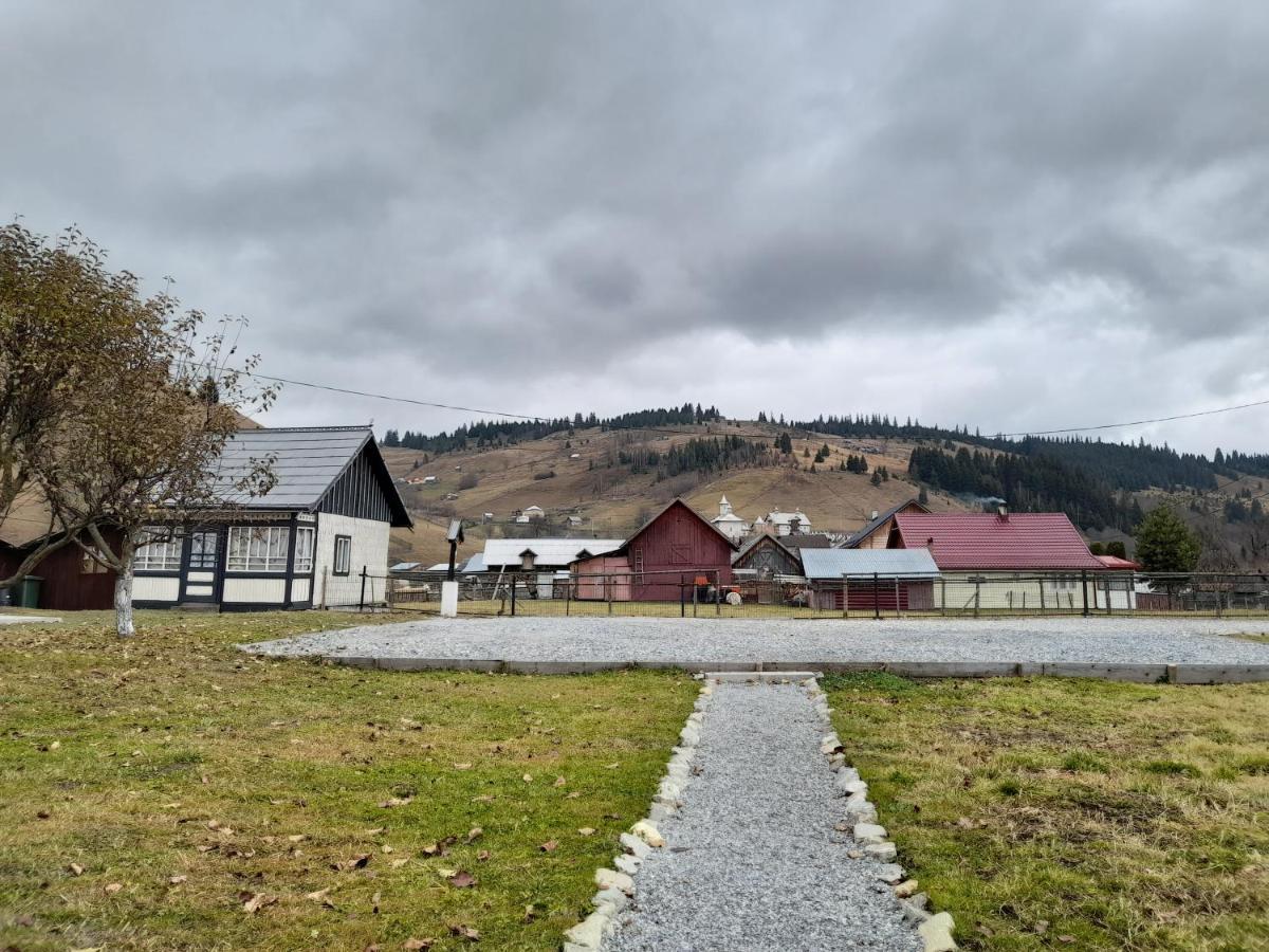 Casa Dumitru Si Elena Ciocanesti Bucovina Exterior foto
