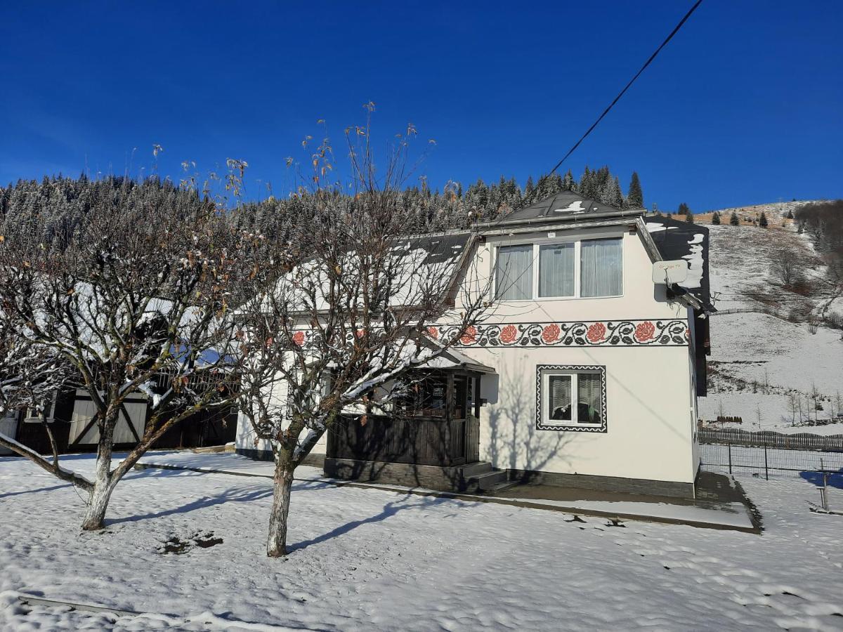 Casa Dumitru Si Elena Ciocanesti Bucovina Exterior foto