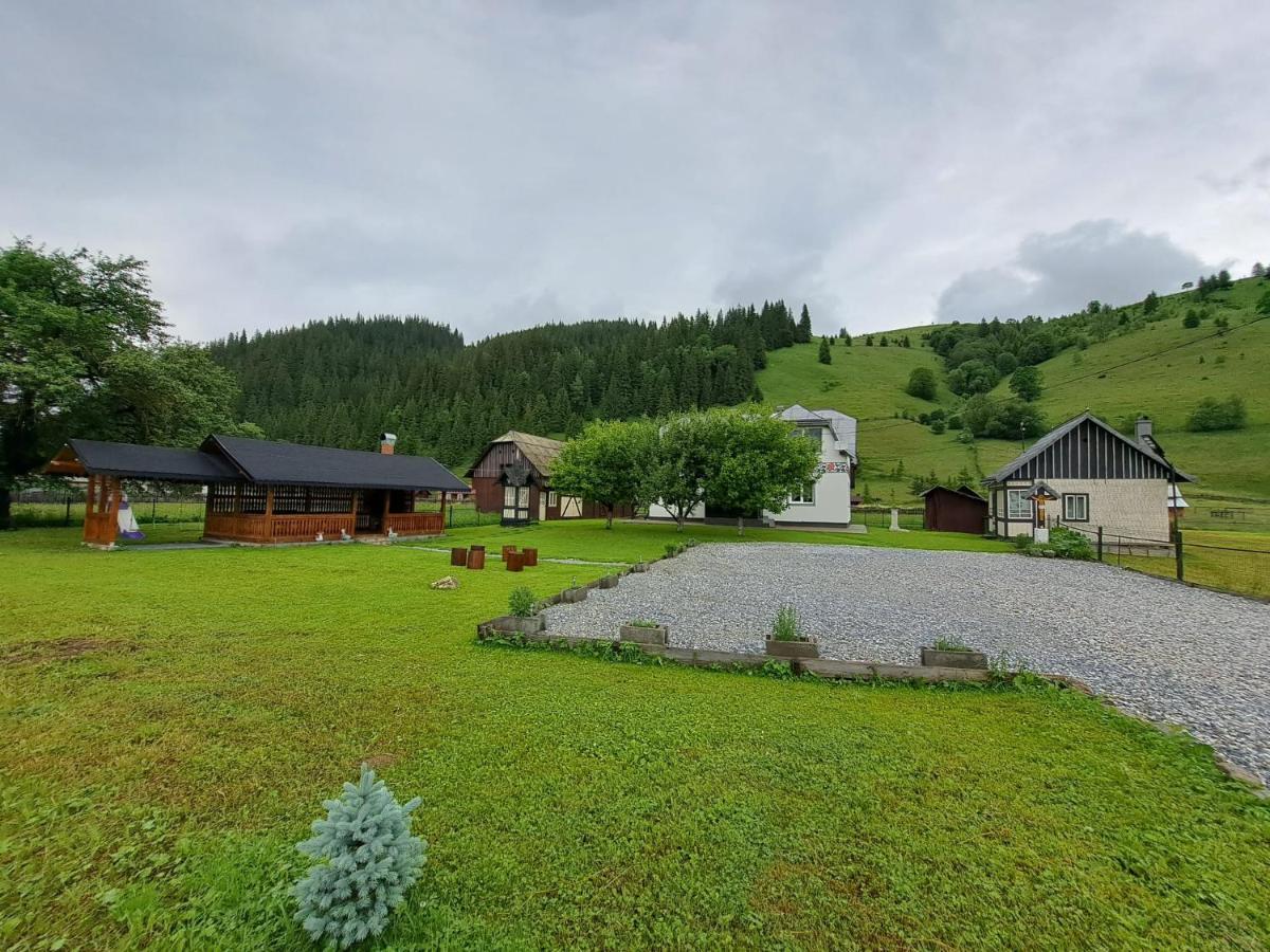 Casa Dumitru Si Elena Ciocanesti Bucovina Exterior foto